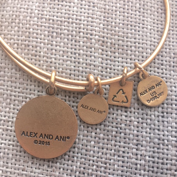 Alex and Ani Positivity Positive How I Live Adjustable Charm Bracelet USA 2015 - Picture 2 of 3